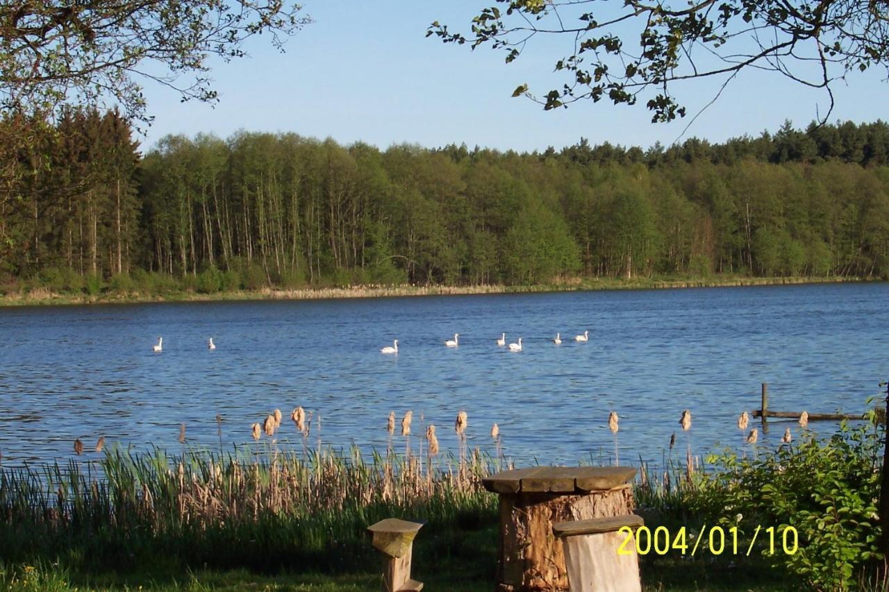 Agroturystyka Nad Jeziorem Sopien Brzozie エクステリア 写真